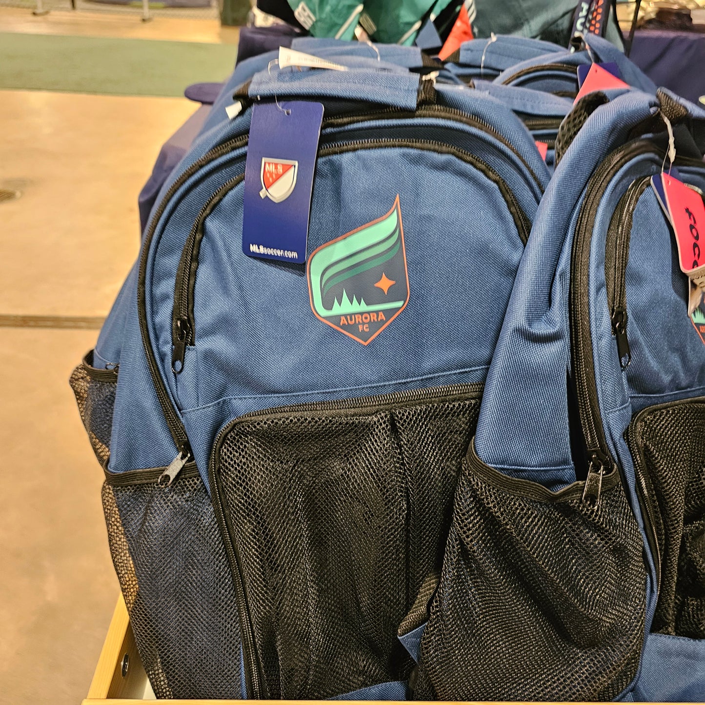 Training Backpack