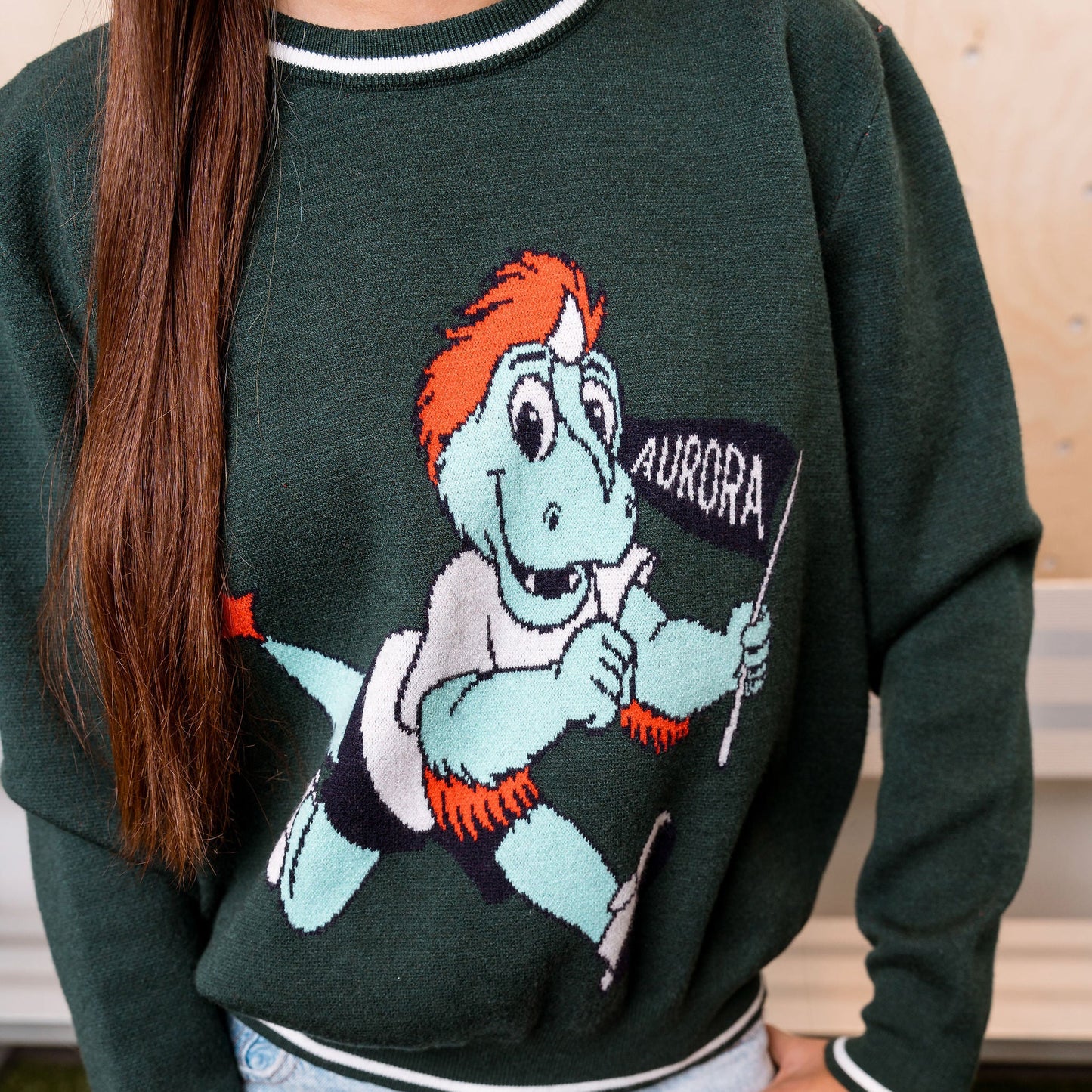 Person wearing a green sweater with a Rory mascot holding an Aurora sign.