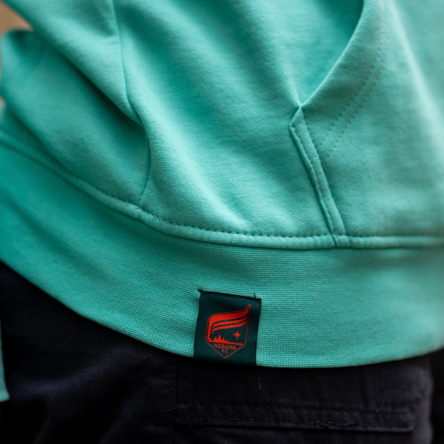 Borealis Teal Aurora Full-Zip Hoodie (Unisex)