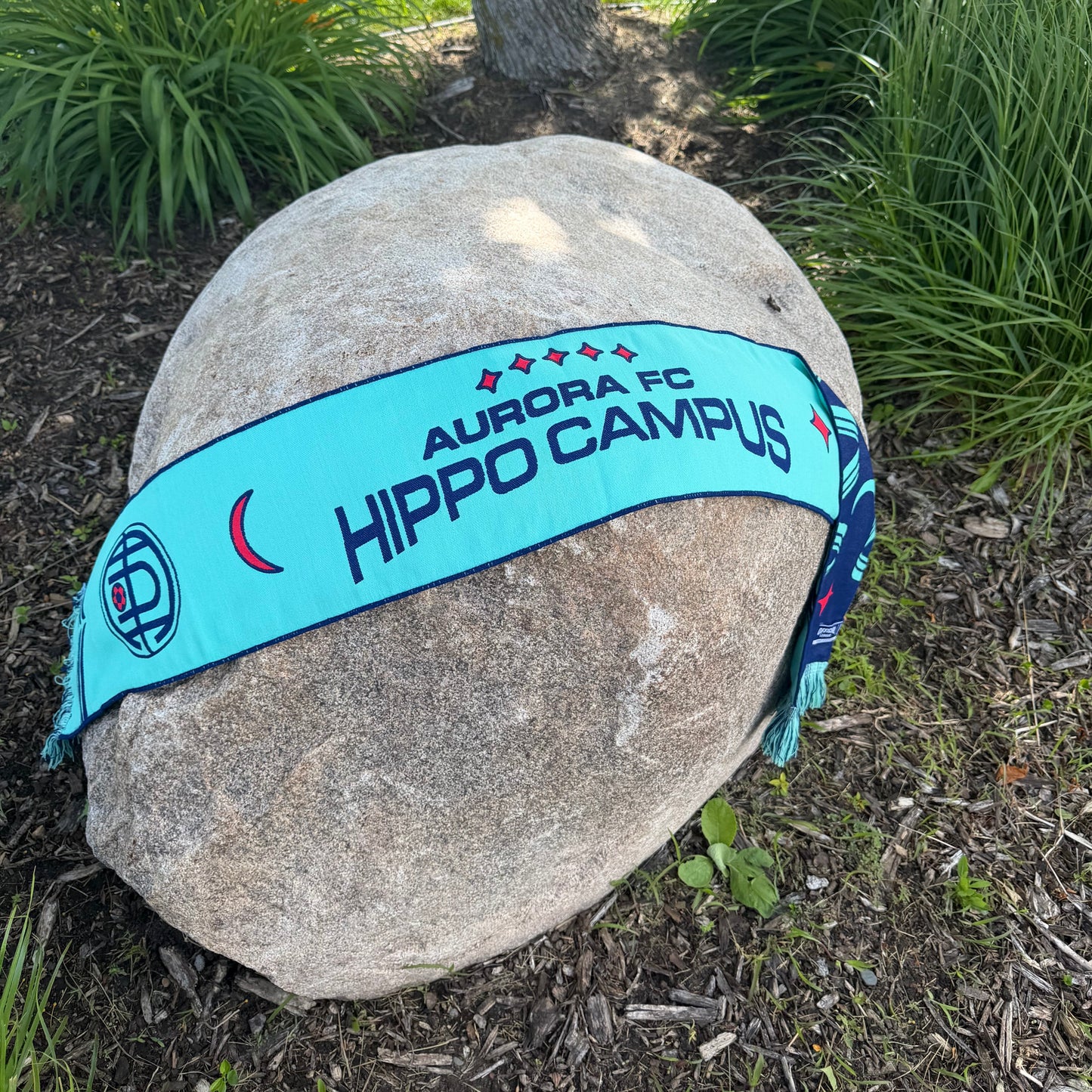 Aurora x Hippo Campus Scarf