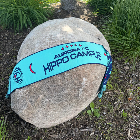 Aurora x Hippo Campus Scarf