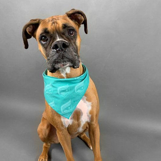 Teal Bandana